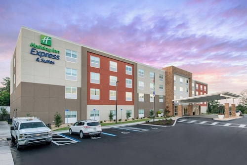 Holiday Inn Express & Suites Alachua - Gainesville Area by IHG