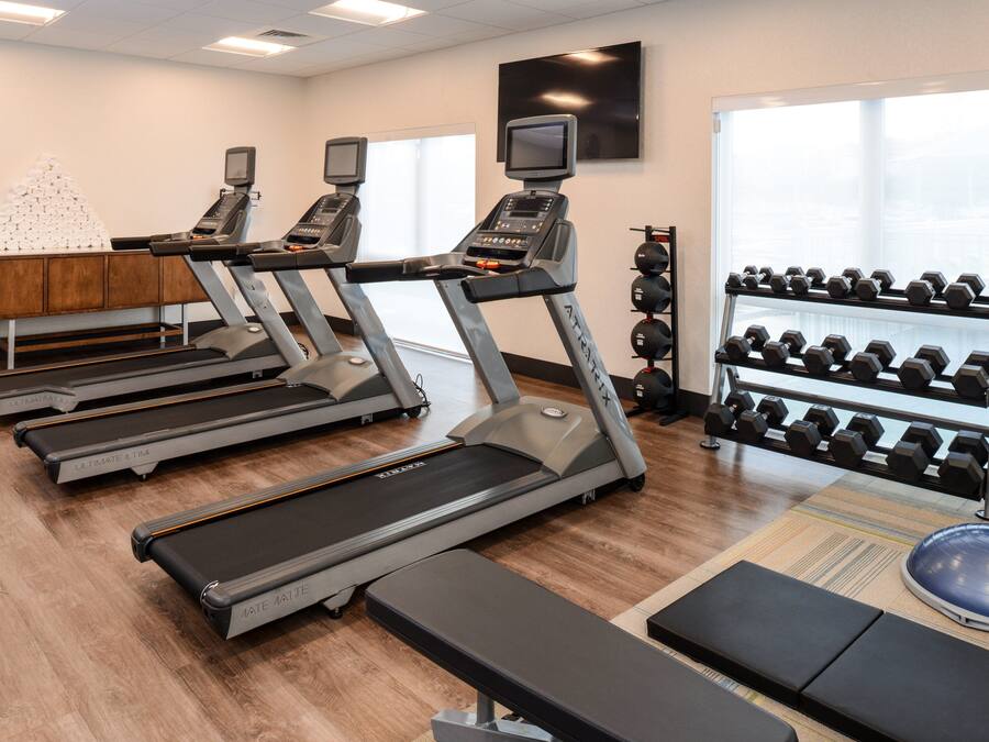 A gym with treadmills, a bench, dumbbells, and a TV screen.