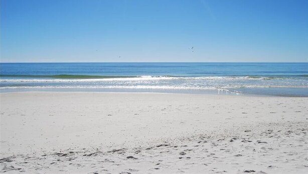 A beach with a clear sky and calm sea. - 👣 Come get your toes in the sand. Lets make a splash! .🌊🐳🐬 (Gulf Shores)