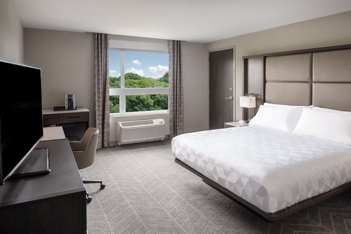 Ein Hotelzimmer mit einem großen Bett, einem Schreibtisch mit Flachbildfernseher, einem Sessel und einem Fenster mit Blick auf Grünflächen.