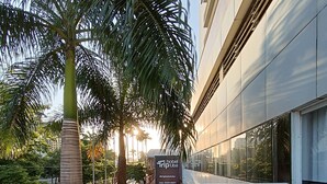 A hotel patio with a glass balustrade, wicker furniture, and a palm tree. - Trip Hotel Ubá (Uba)