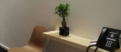 A reception desk with a telephone, a potted plant, and a chair.