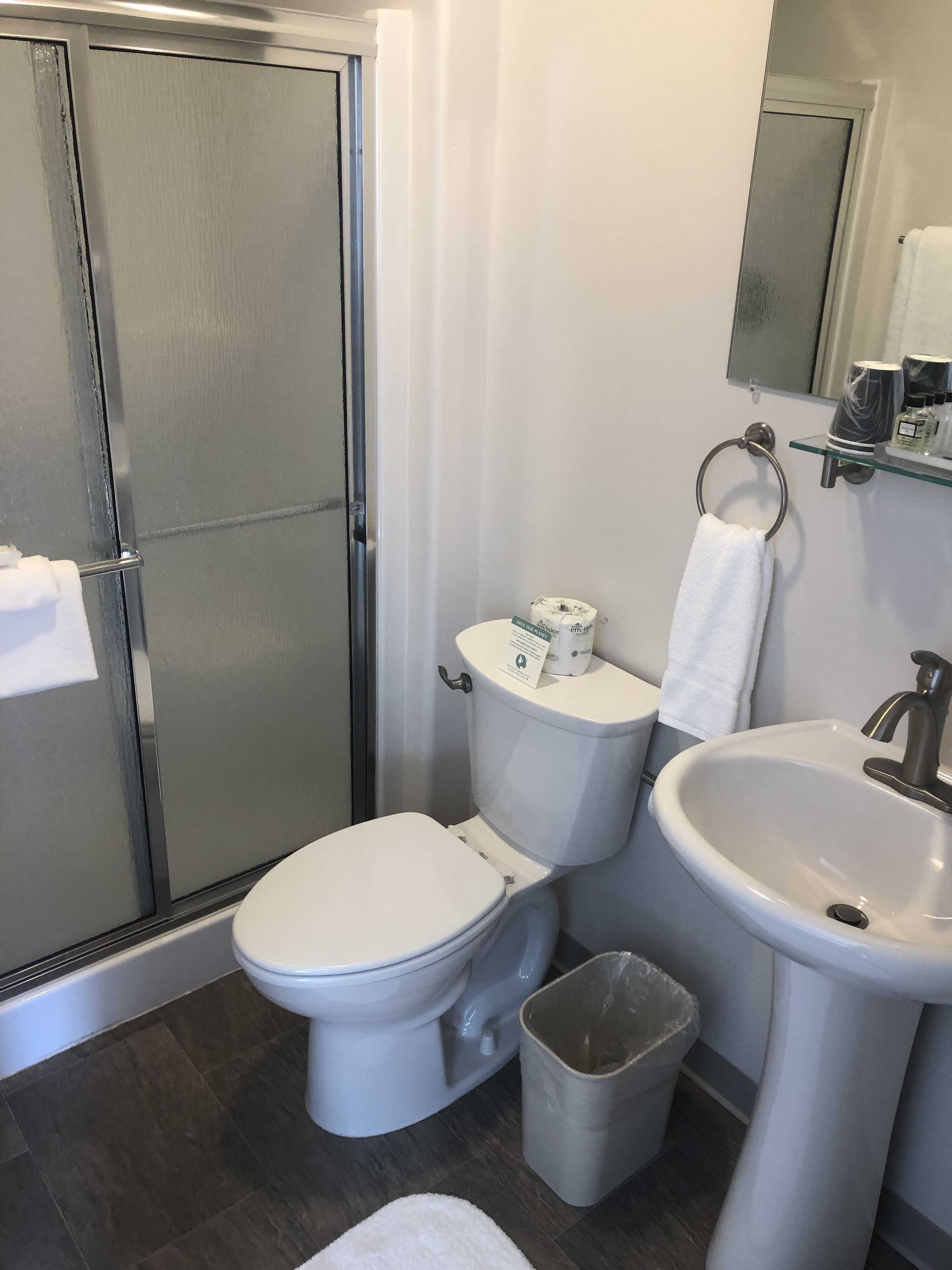 standard room, 1 queen bed - shower only - no pets | bathroom shower