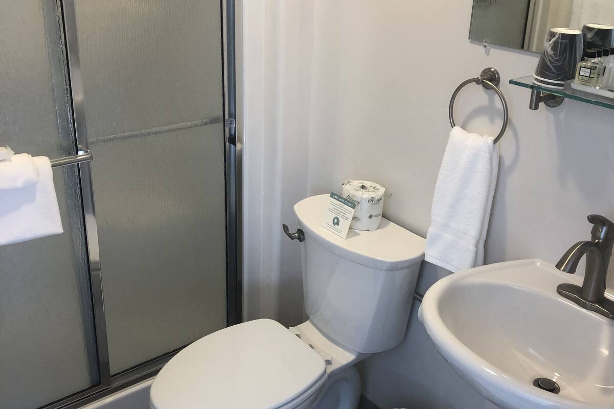 standard room, 1 queen bed - shower only - no pets | bathroom shower