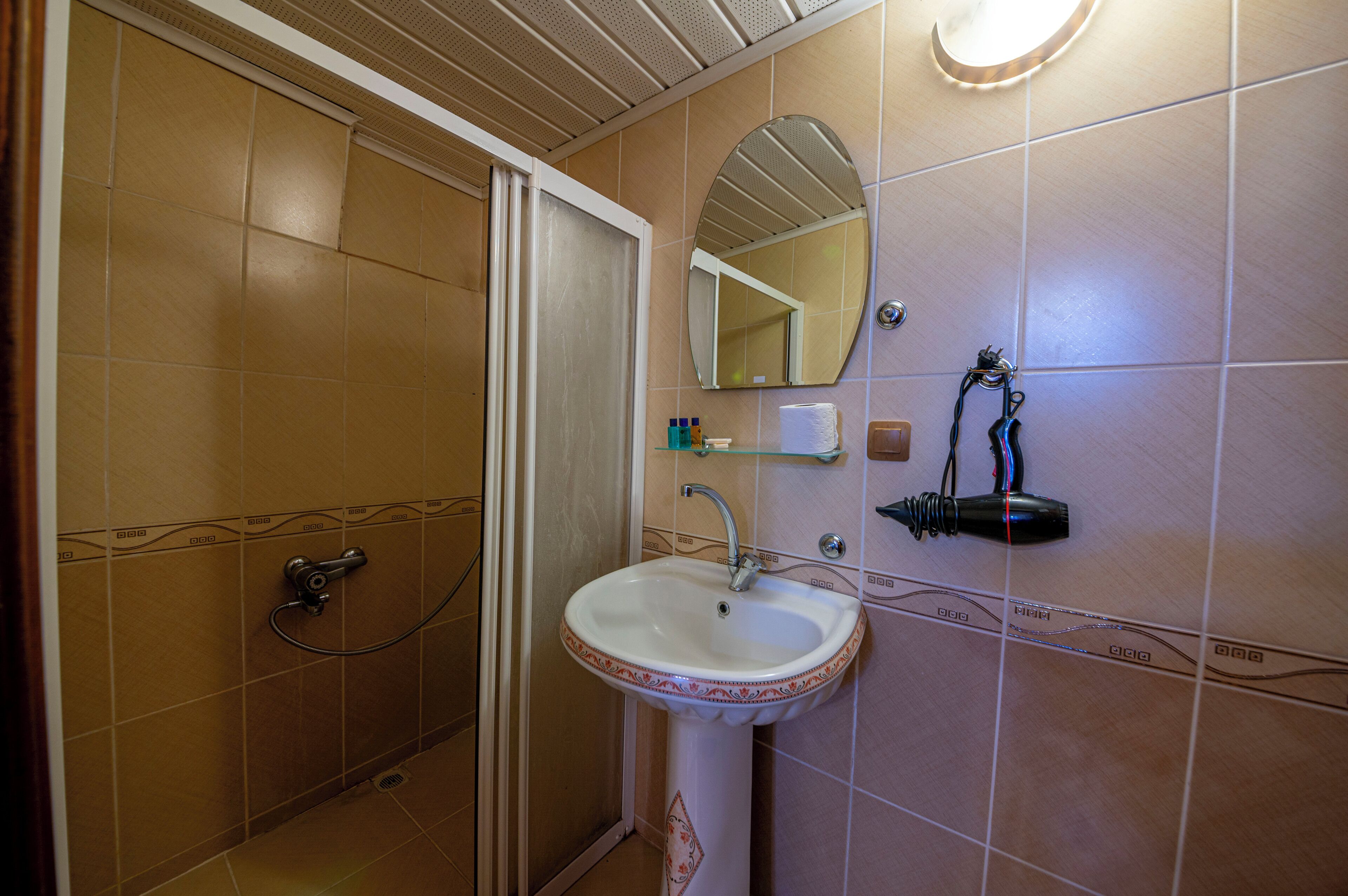 Une salle de bain avec un lavabo, un miroir et une douche.