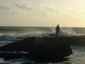 Une personne et un chien sur une plage rocheuse, avec des vagues qui déferlent.
