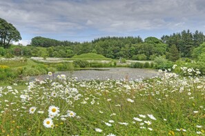 Property grounds - Cutlar's Lodge (Kirkcudbright)
