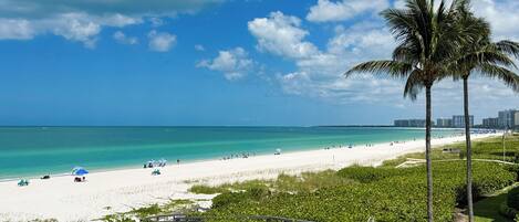 Plage, chaises longues
