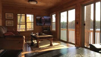 Smart TV, fireplace, video games, DVD player