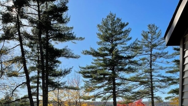 Un chalet au bord du lac, doté d’une terrasse offrant une vue sur l’étendue d’eau, entouré de grands arbres et des couleurs automnales de leur feuillage.