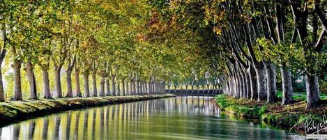 Un canal tranquilo bordeado de árboles que se reflejan en aguas serenas.