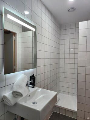 Habitación doble (Reboost) | Baño | Regadera, amenidades de baño ecológicas, toallas, jabón 