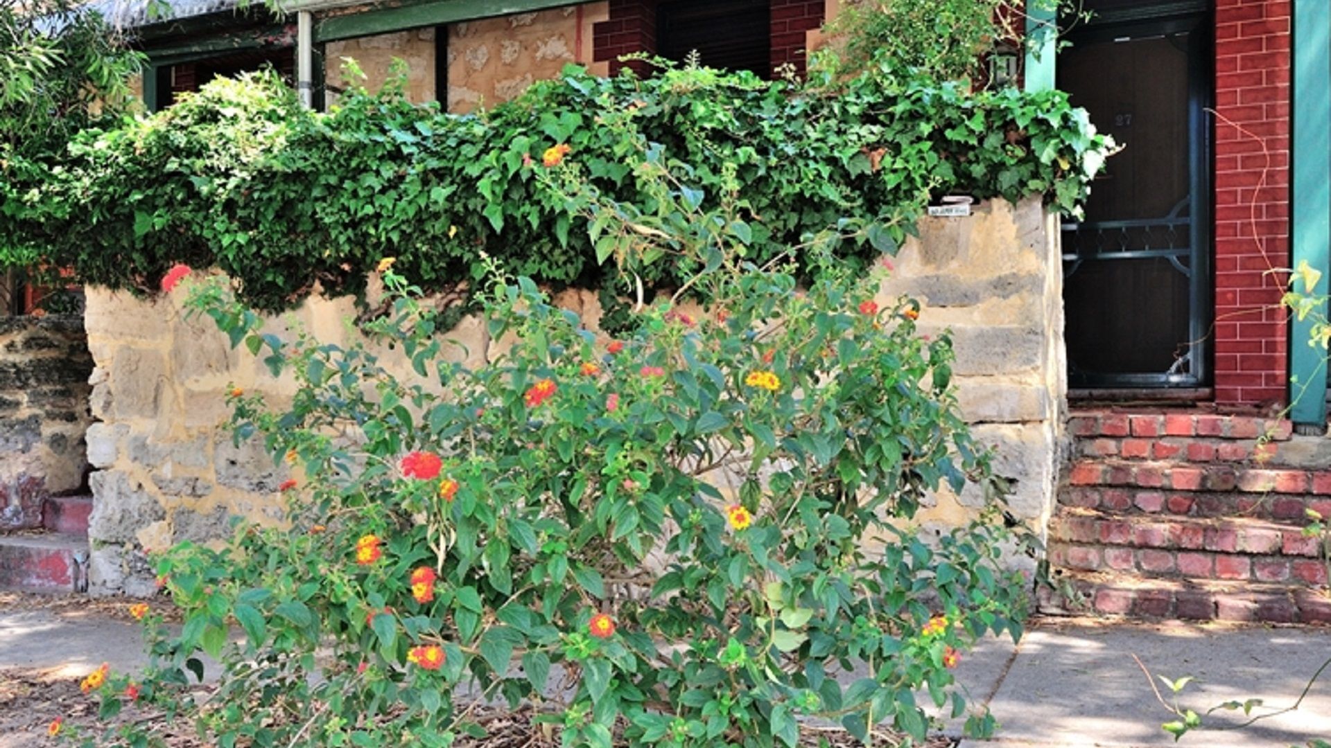 Historic 2 bedroom South Fremantle cottage — image 18