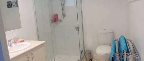 A bathroom with a glass-enclosed shower, a toilet, a sink with a mirror, and a towel rack with towels.