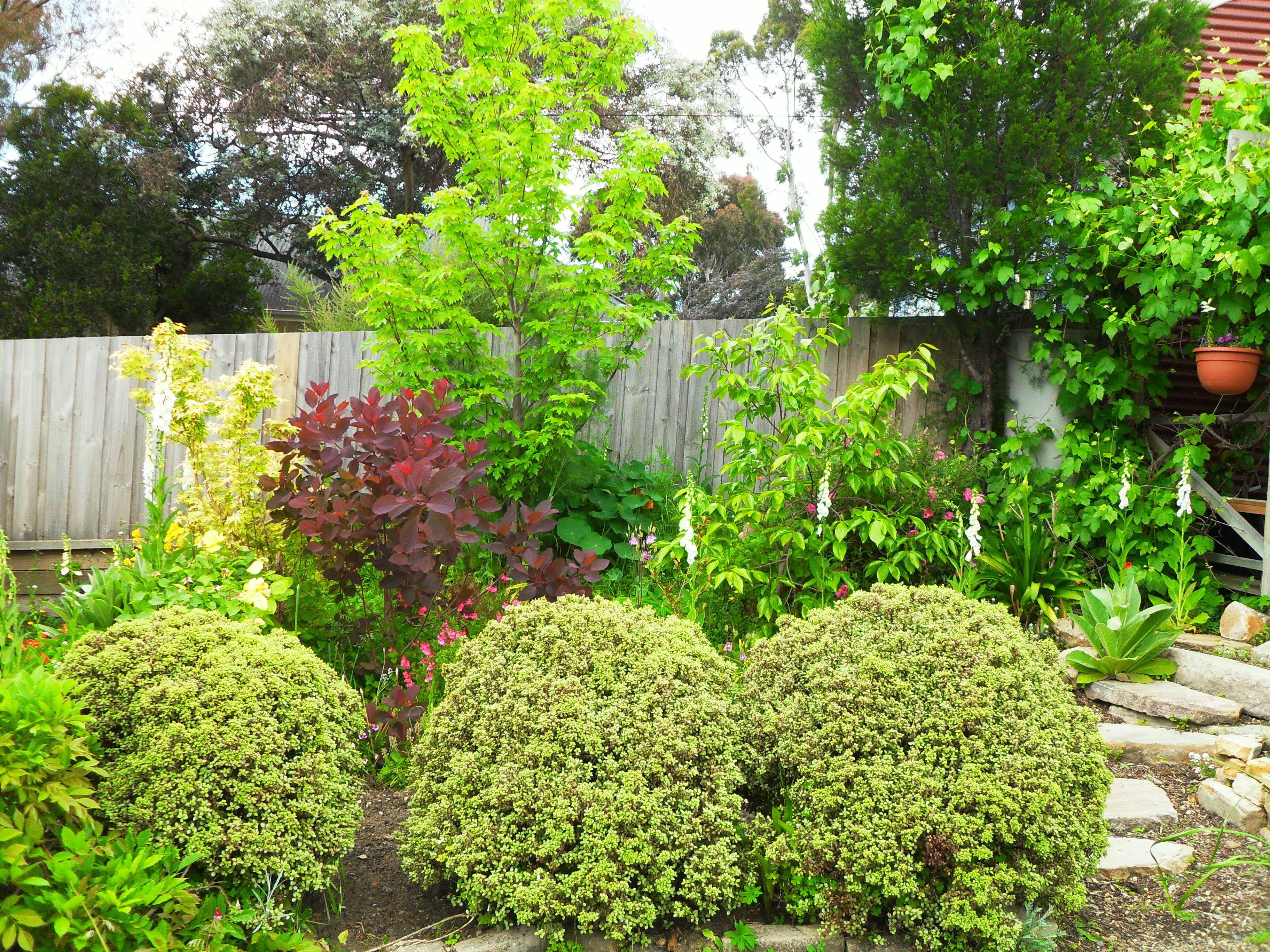 Beautiful self-contained studio — image 11