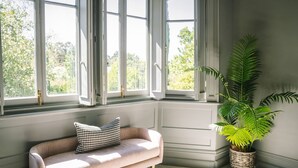 Une pièce avec un canapé beige, un coussin à carreaux et une grande plante verte dans un pot en osier.