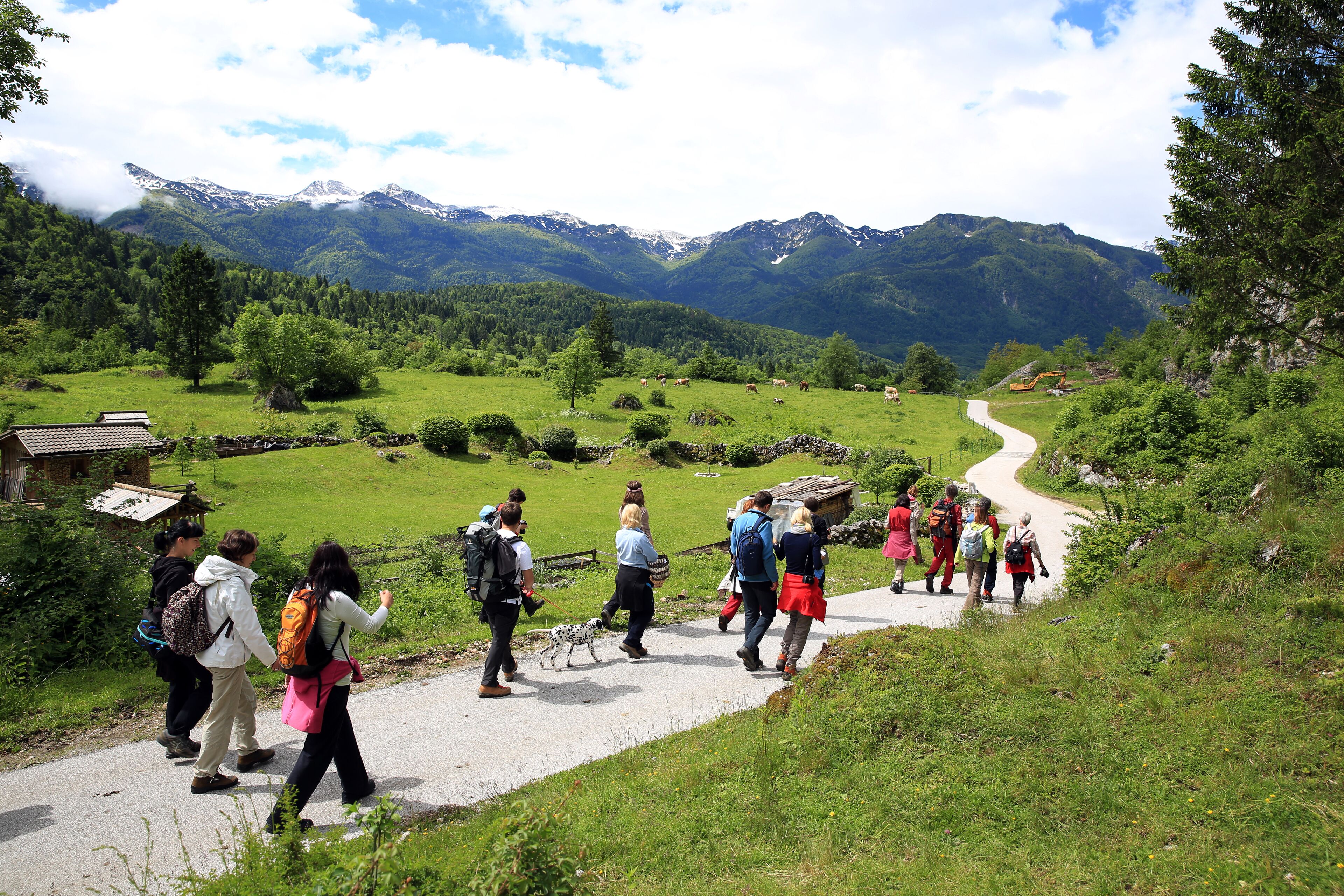 A group of hikers on a paved path in a mountainous area with green fields and a clear sky.