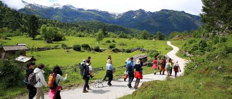 A group of hikers on a paved path in a mountainous area with green fields and a clear sky.