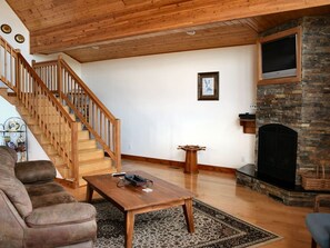 TV, fireplace, video games, DVD player