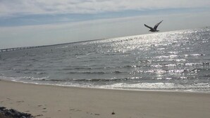 Une plage avec un rivage rocheux, une jetée qui s’avance dans l’eau et un oiseau qui vole au loin.