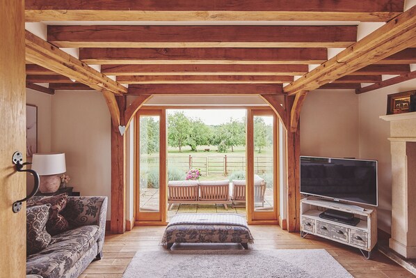 智能電視、壁爐、DVD 播放機、足球機