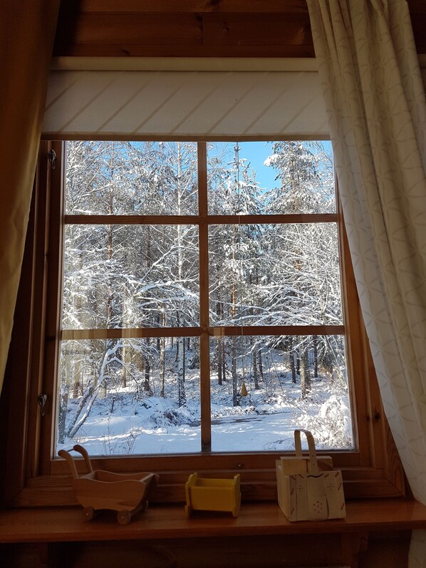 Et vindue med udsigt til en snedækket skov.