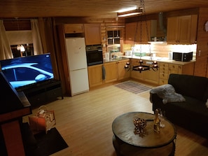 TV, fireplace, video games