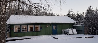 Näset 4 Green Cabin in Småland with boat