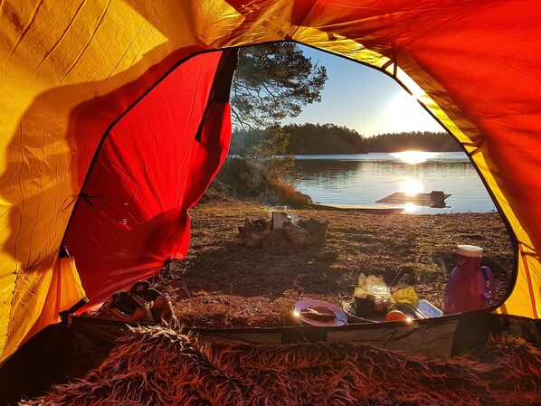 Enceinte de l’hébergement