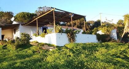 Monte do Altinho - Rural House Porto Covo