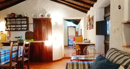 Monte do Altinho - Rural House Porto Covo