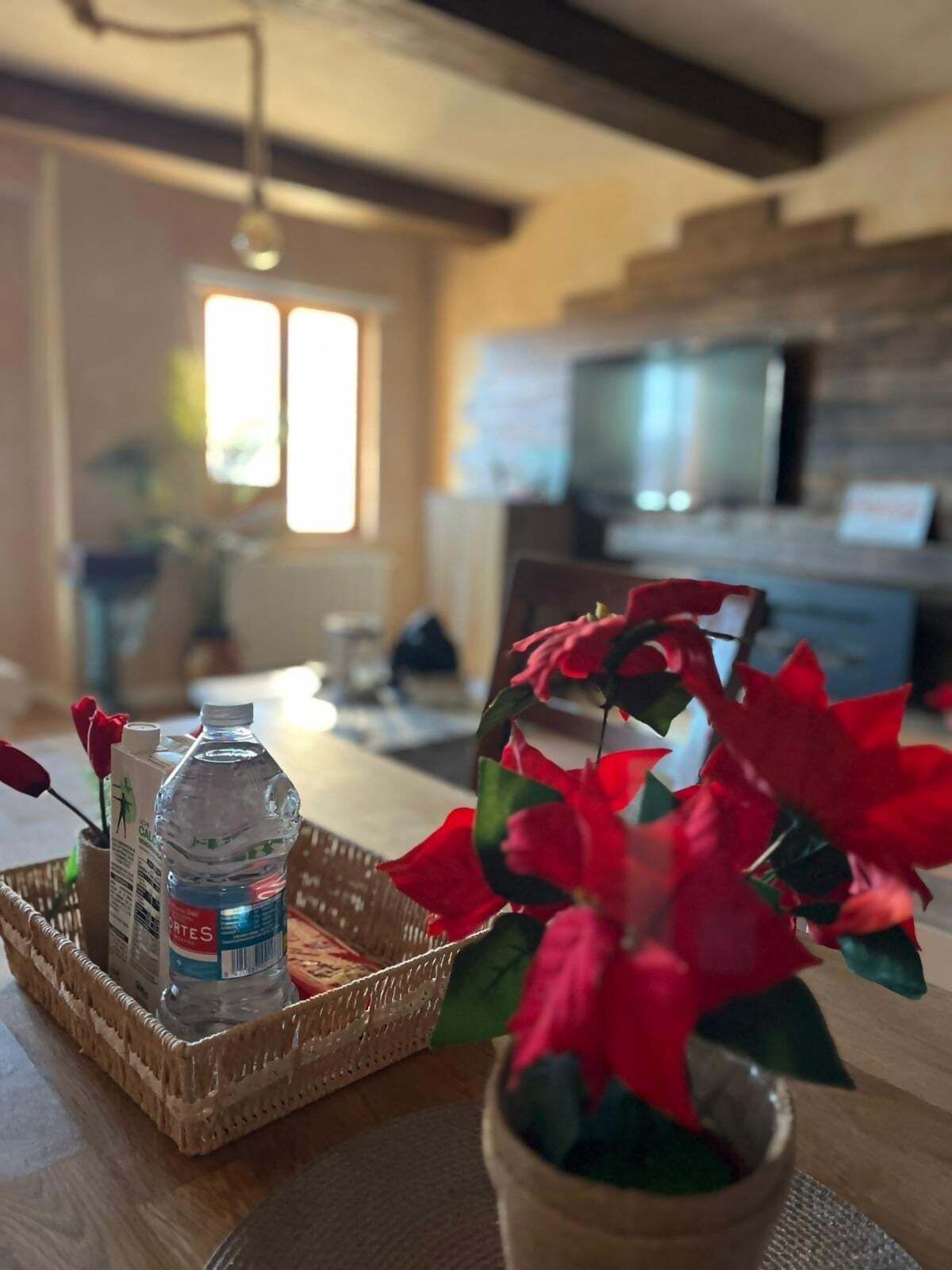 A kitchen area with a water bottle and poinsettia plant on a tray.