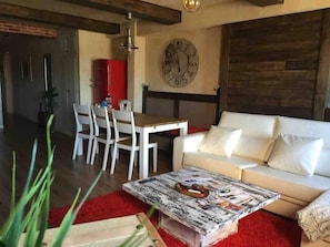 TV, fireplace, books