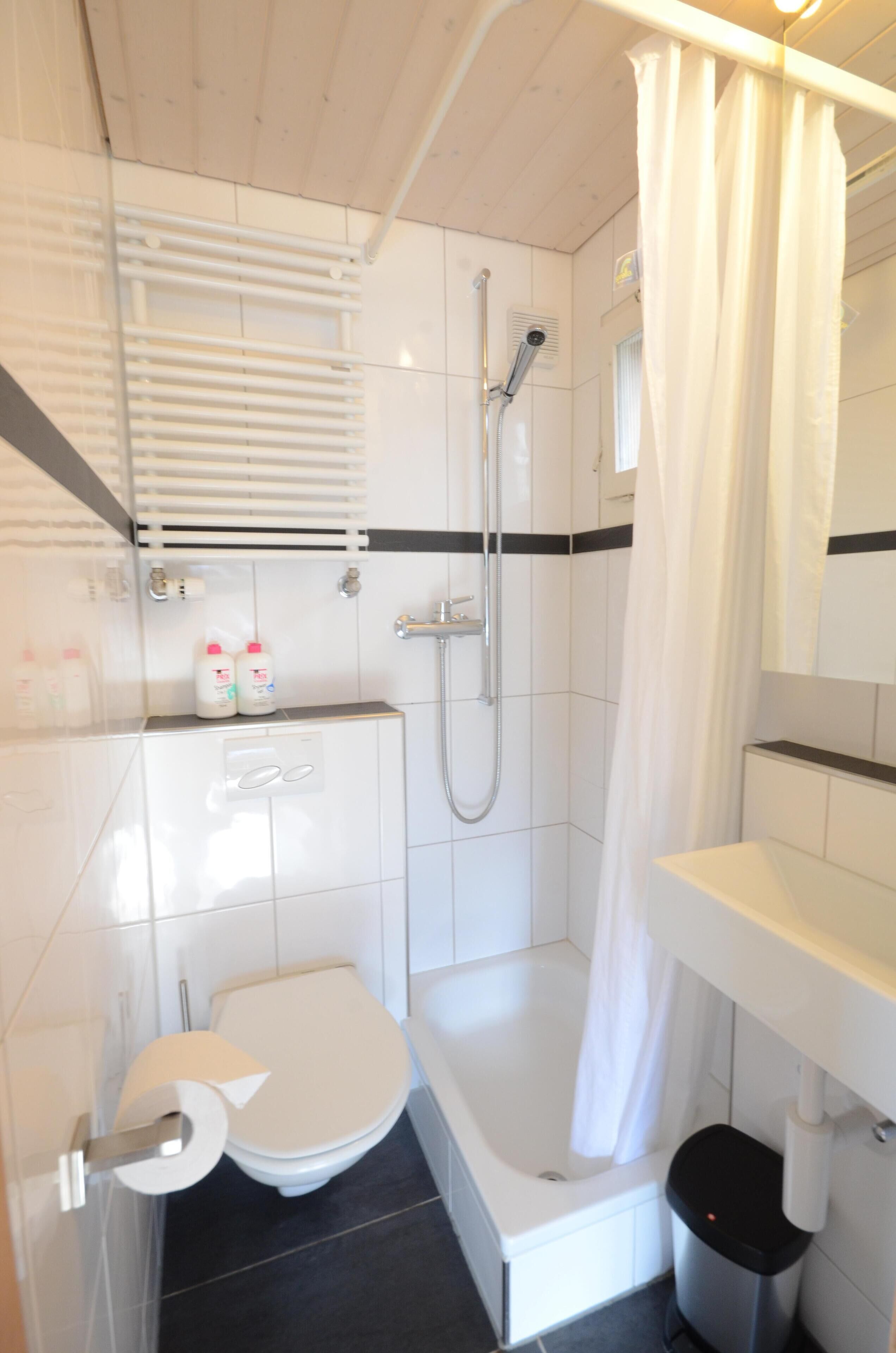 Shower, hair dryer, towels, toilet paper