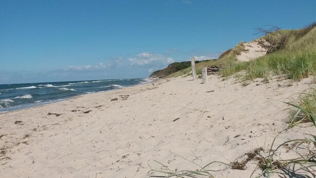 En sandstrand med bølger, en træpæl og græsbeklædte klitter.