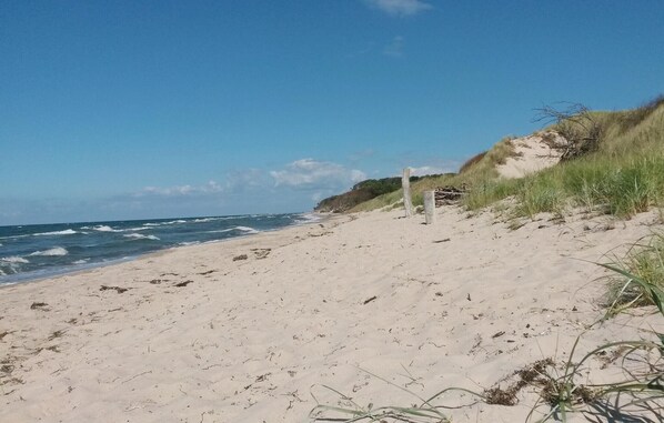 In Strandnähe, Angeln