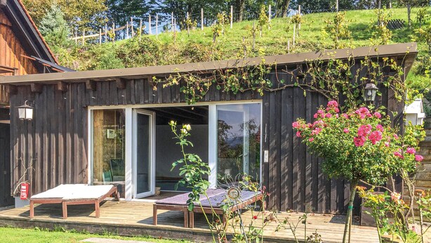 A wooden cabin with a deck, a glass door leading inside, and a garden with pink flowers. - schoenes Ferienhaus-Grossklein (Grossklein)