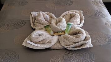 Twin SIngle Room | 1 bedroom, desk, iron/ironing board, free WiFi
