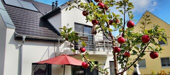 VILLA HILL / EC-Fewo - VILLA HILL / EC-Fewo