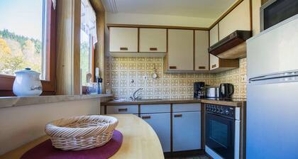 Pension Haus Brückner - Ferienwohnung