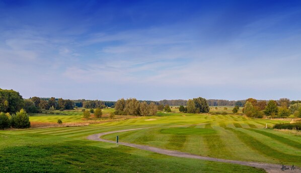 Imagen sin descripción, 1 de 19, botón