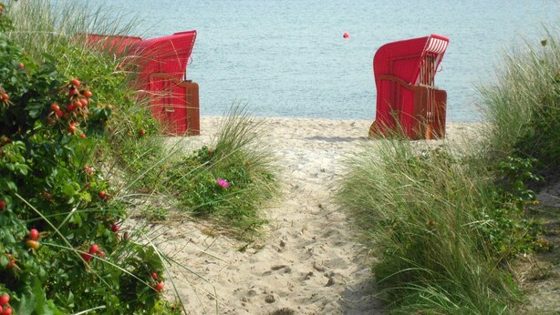 Une plage avec deux chaises rouges donnant sur la mer, un sentier sablonneux menant à ces chaises, et des voiliers à l’horizon.