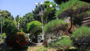Un jardín con diversas plantas y una farola.