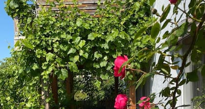 Ferienwohnung - 2-Raum Ferienwohnung (45m²)