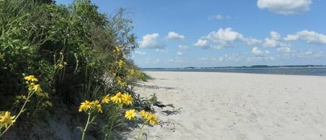 In Strandnähe