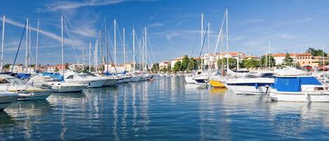 A marina with multiple sailboats docked in calm waters, surrounded by buildings with red-tiled roofs.