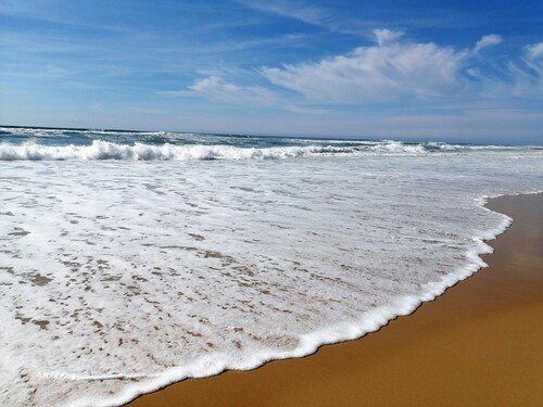 Renovated apartment on 2nd floor, near the beach in Seignosse