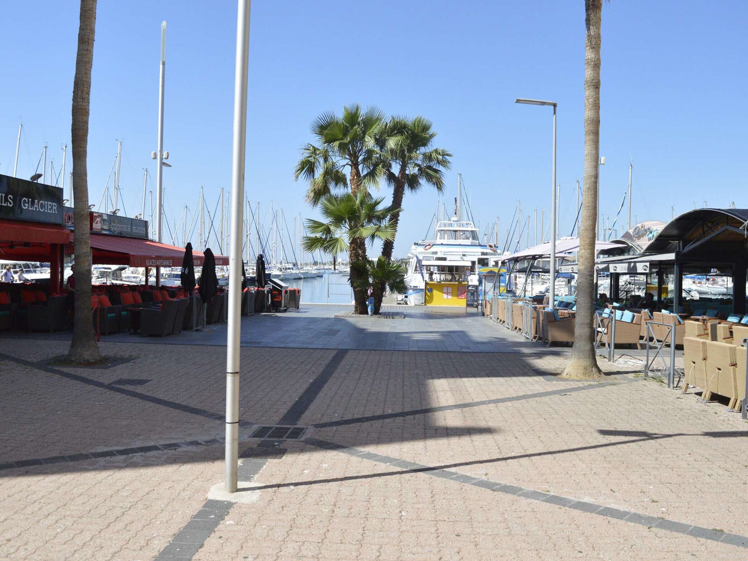 A marina with boats docked, palm trees, and outdoor seating areas.