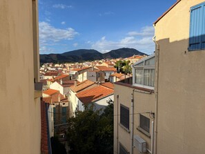 Vista desde la propiedad