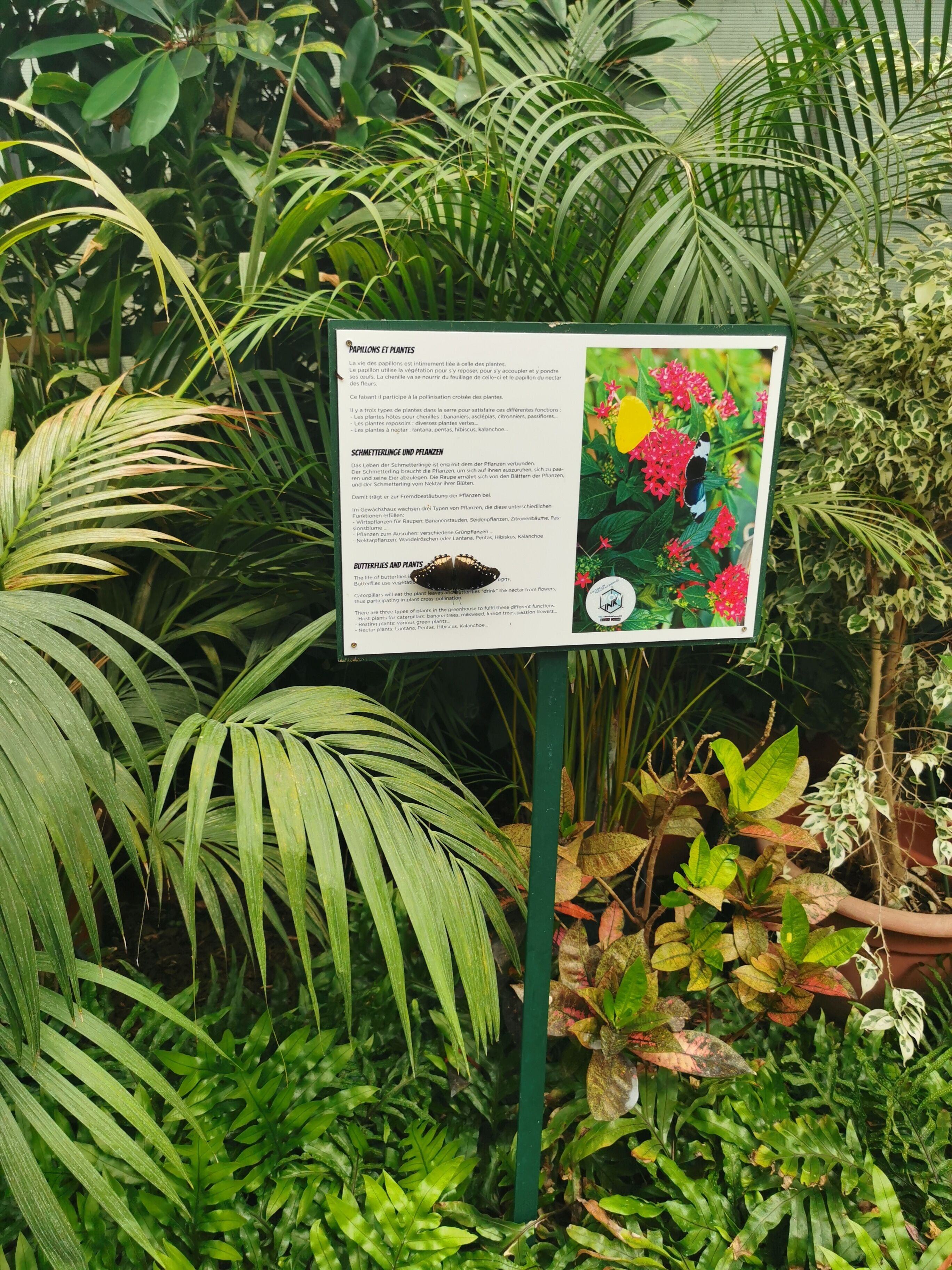 A sign with text and a colorful illustration of plants and butterflies, surrounded by lush greenery.